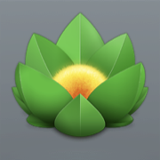 Versions app icon